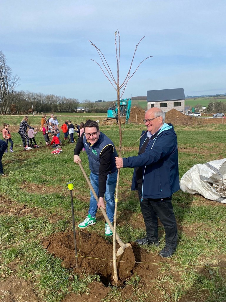 Bastogne > Legend Boucles > Arbre pour Chaque Voiture