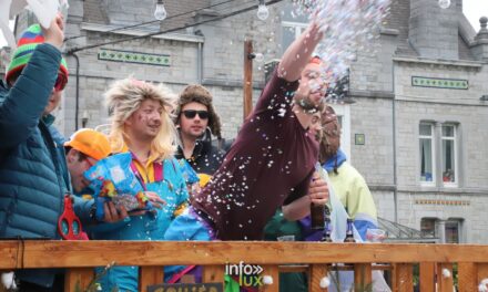 Wellin > Carnaval 2026 > Programme