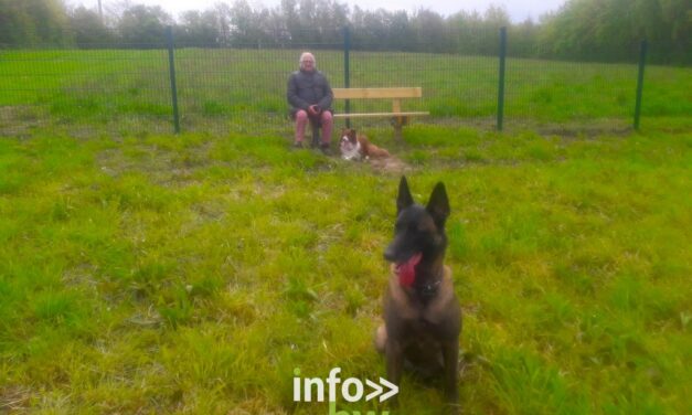 Braine l’Alleud > Parc à chiens