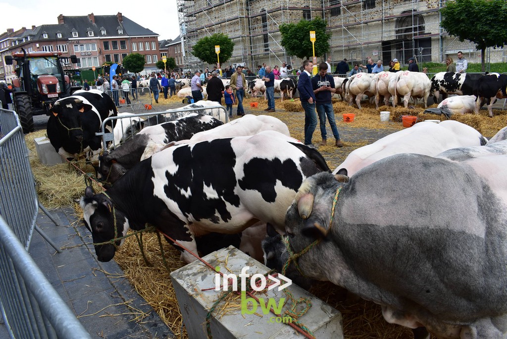La Foire Agricole de Nivelles : un rendez-vous incontournable. Retrouvez les photos!