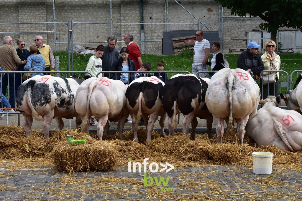 La Foire Agricole de Nivelles : un rendez-vous incontournable. Retrouvez les photos!