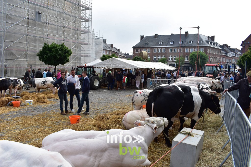 La Foire Agricole de Nivelles : un rendez-vous incontournable. Retrouvez les photos!