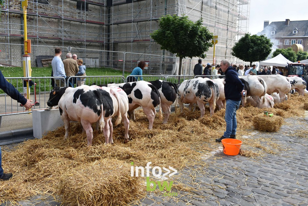 La Foire Agricole de Nivelles : un rendez-vous incontournable. Retrouvez les photos!