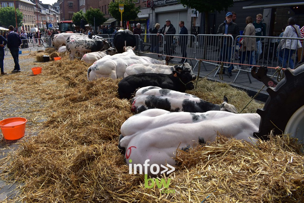 La Foire Agricole de Nivelles : un rendez-vous incontournable. Retrouvez les photos!