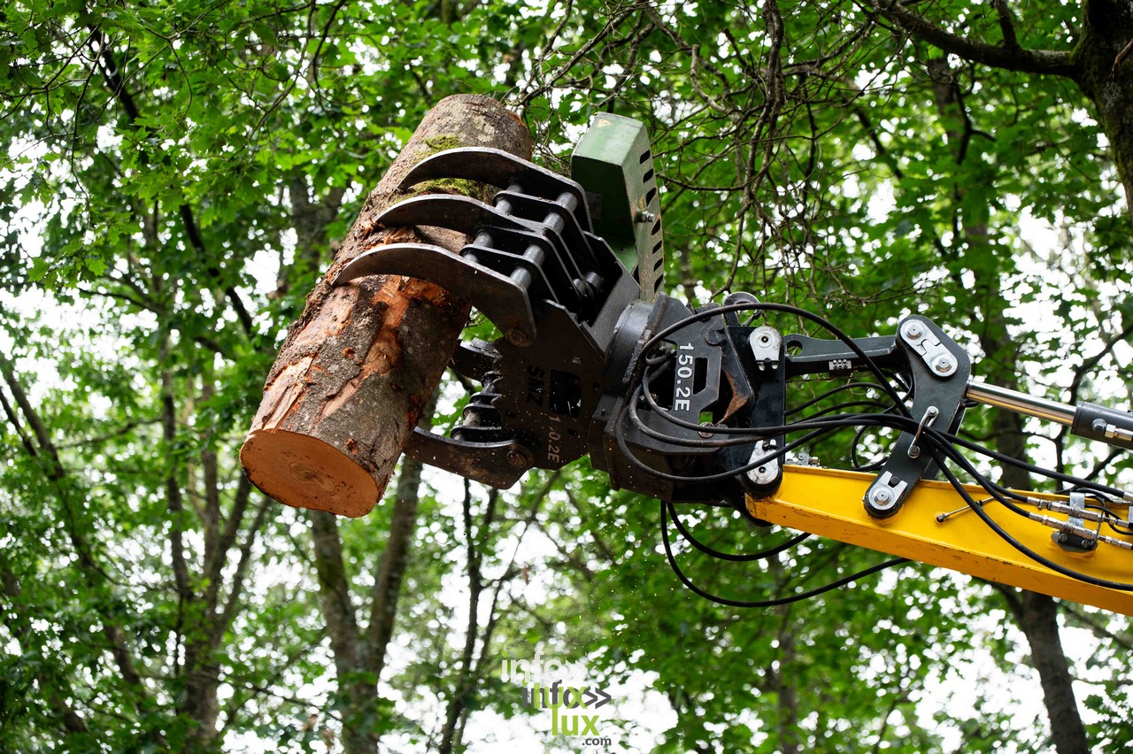Demo Forest 2026 à Bertrix Demo Forest 2026 à Bertrix