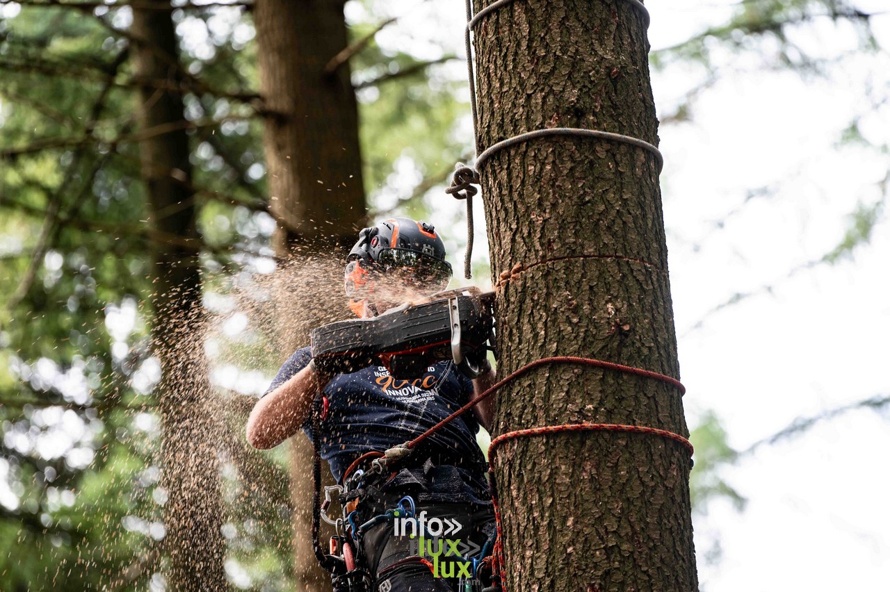 Abattage, débardage, machines : la forêt en action Abattage, débardage, machines : la forêt en action