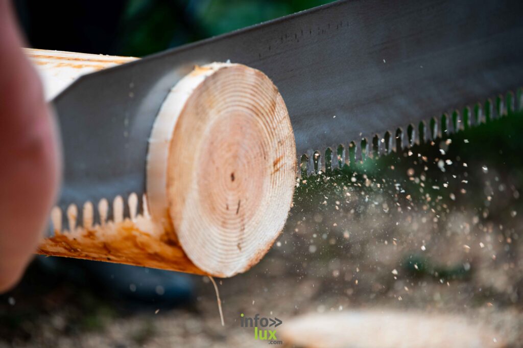 Demo Forest 2024, Bertrix : photo de Laurent Gallez