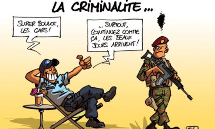 Les grades de l’armée de terre belge, en province de Luxembourg