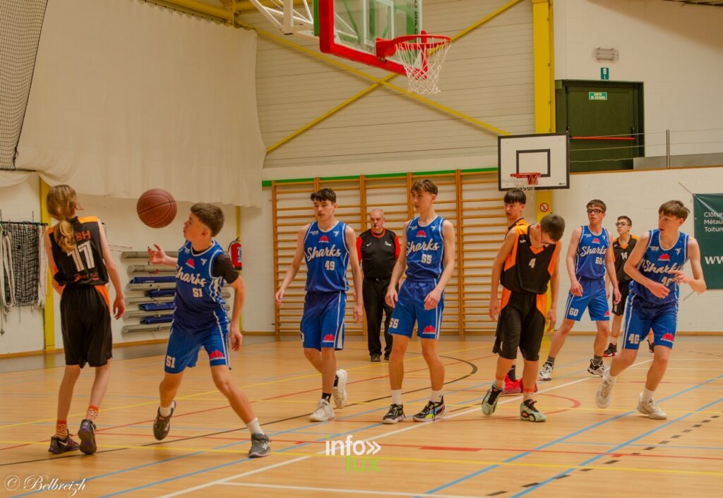 Hotton > Basket > un club