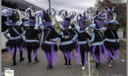 Province du Luxembourg > Meix-devant-Virton > 27ème Carnaval