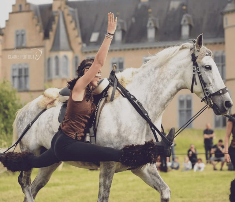 Ciney > Festival > Viking 2025
