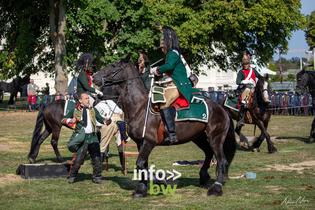 Waterloo 1815 > festivités > Cheval