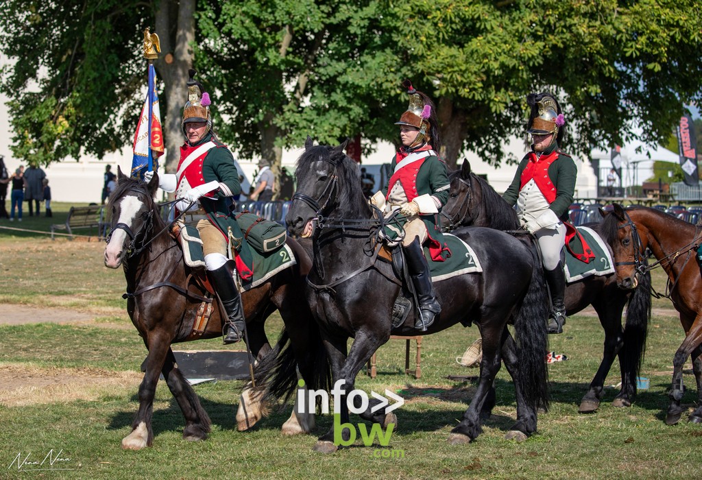 Waterloo 1815 > festivités > Cheval