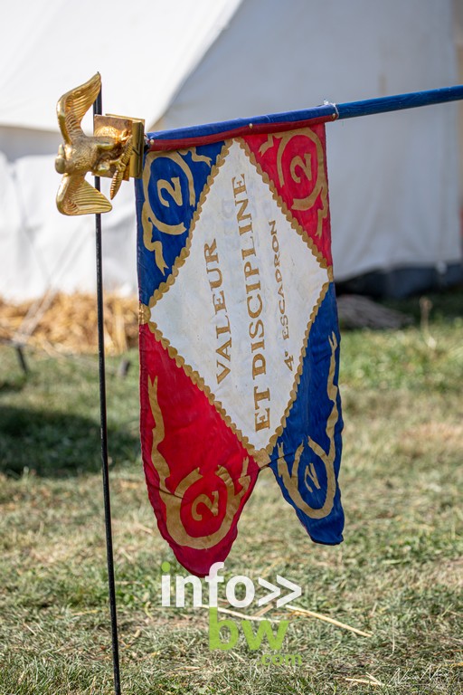 Waterloo 1815 > festivités > Cheval