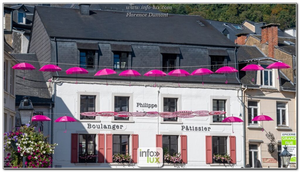 Bouillon > Bouillon rose > photos 2025