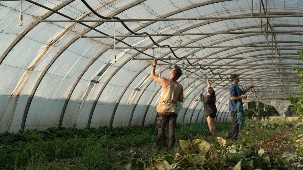 Bertrix > Film > Theorie Boxeur