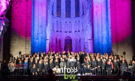 Bruxelles > Concert Gospel For Life > Photos