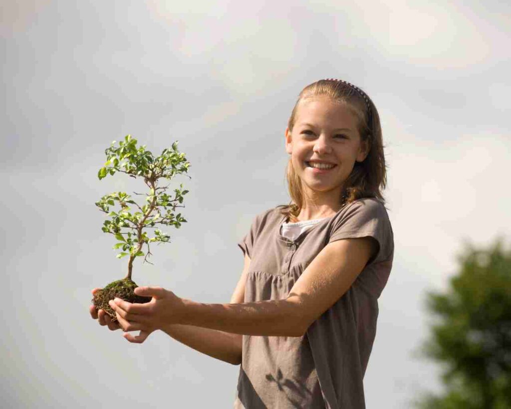 Braine-l’Alleud > Semaine > Arbre