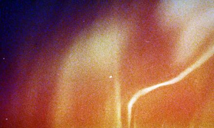 Gérardmer > Festival > Film > Fantastique