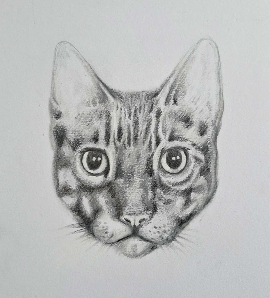 Artiste > Portrait > Nico Fleuriot