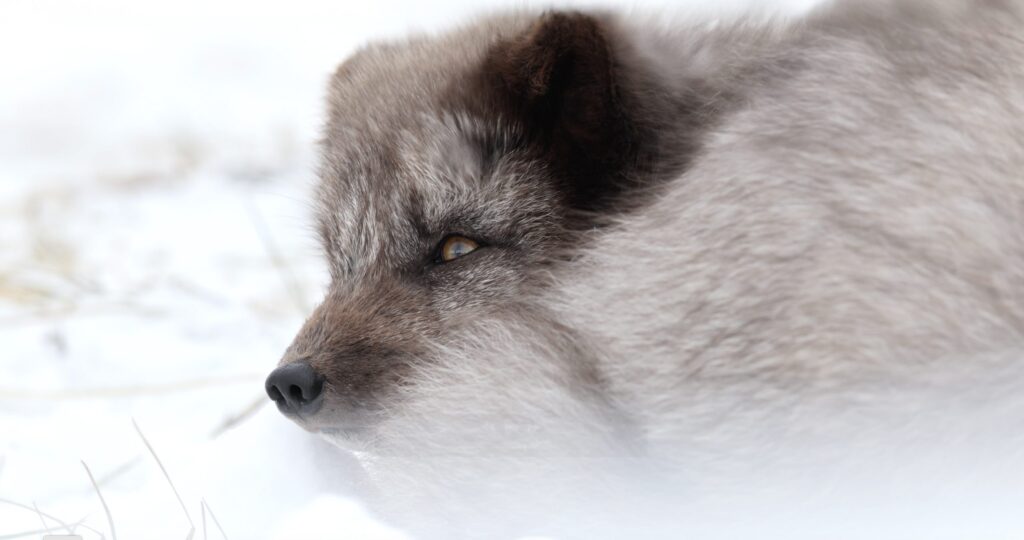 Attert > Film Nature