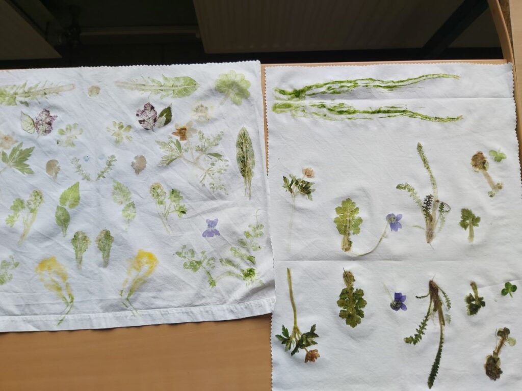 Anlier > Atelier > Nature Attitude
