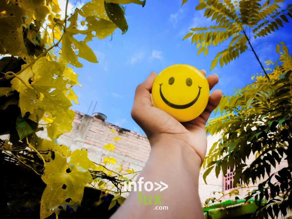 Développement Personnel > Appréciation > Gratitude