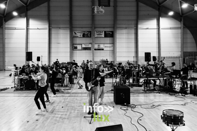Libramont > Electro Live Orchestra