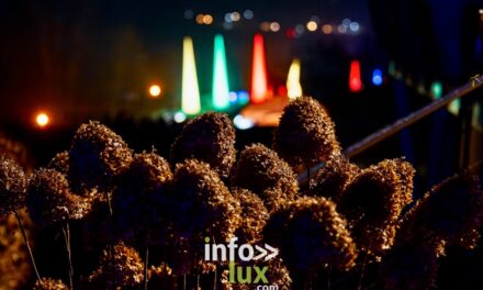 Luxembourg > Wine Lights > Photos