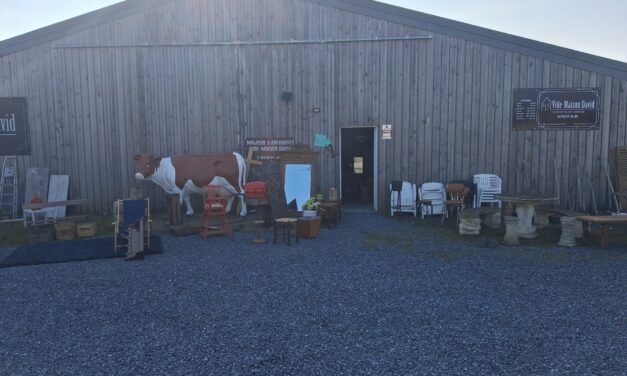 Vide maison à Arlon : débarras rapide, estimation d’antiquités et service complet Vide Maison David