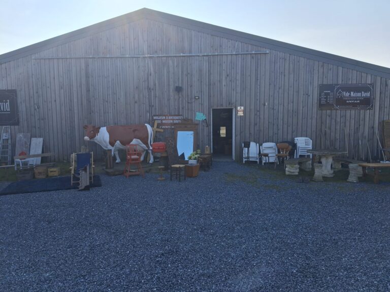 ide maison professionnel à Arlon – Vide Maison David