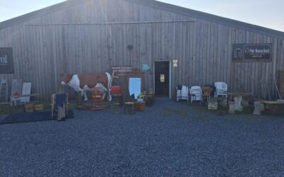 Vide maison en Wallonie : la solution rapide, rentable et sans stress pour vider un logement