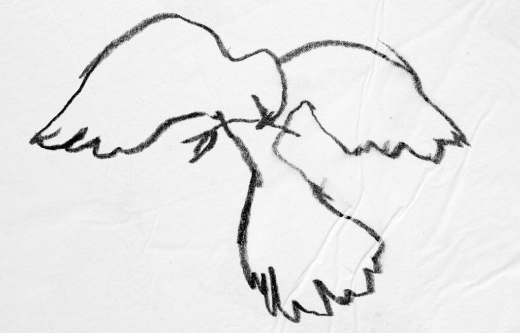 oscar and the wolf > reprise > losing my religion - rem