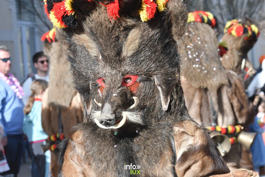 Arlon > Carnaval 2026 > Photos