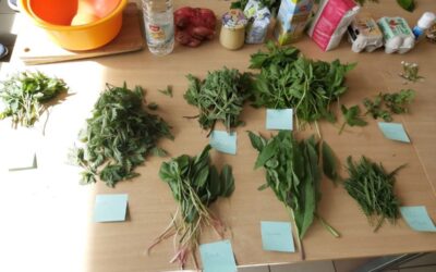 Anlier > Atelier > comment composer son apéro sauvage