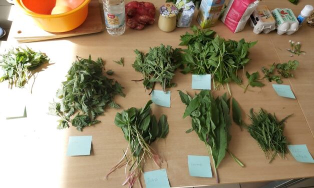 Anlier > Atelier > comment composer son apéro sauvage