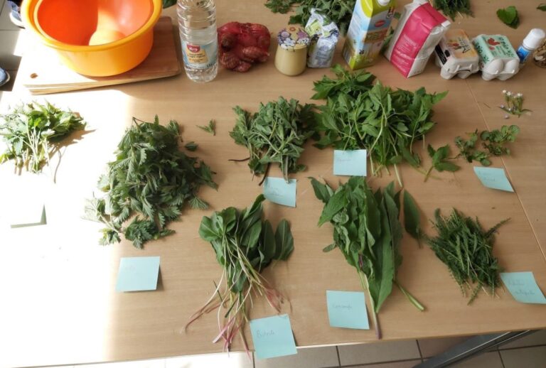 Anlier » Atelier » comment composer son apéro sauvage