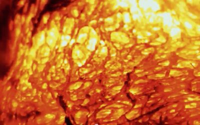 Beasts > Nouveau single > Blow Me Away