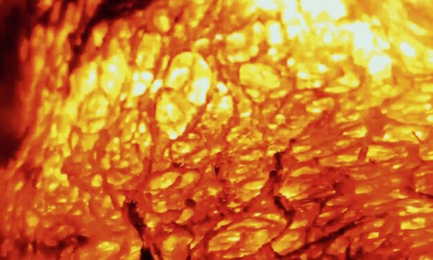 Beasts > Nouveau single > Blow Me Away