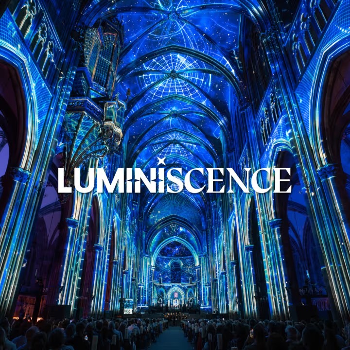 Bruxelles > Spectacle > Luminiscence