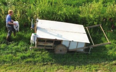 Florenville > Cinéma >  réflexion citoyenne sur le Moins et Mieux