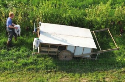 Florenville > Cinéma >  réflexion citoyenne sur le Moins et Mieux