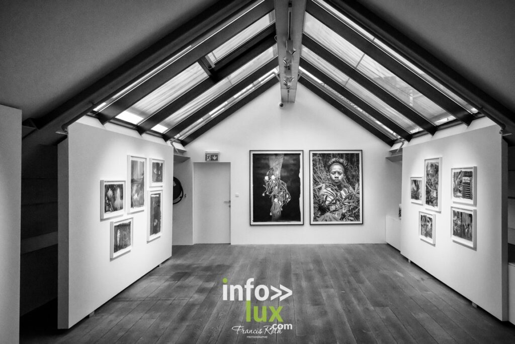 Nivelles > Francis Roth > Photographe