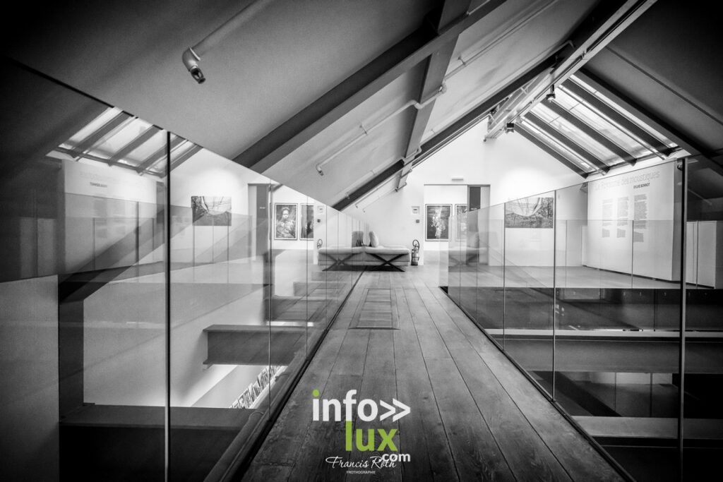 Nivelles > Francis Roth > Photographe