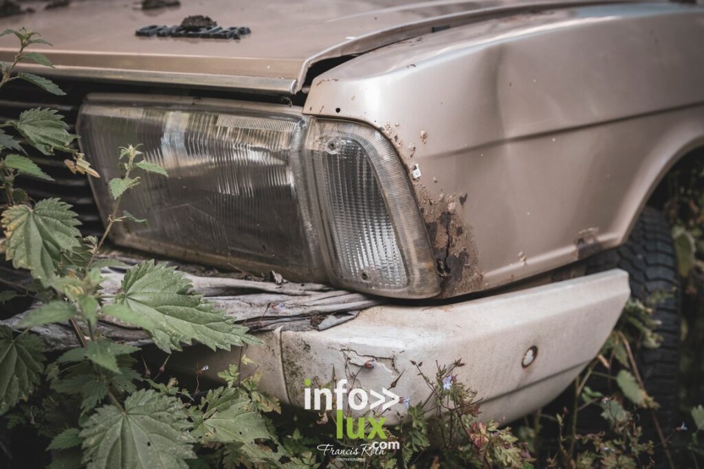 Nivelles > Francis Roth > Photographe