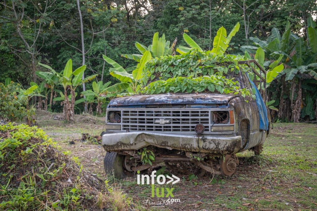 Nivelles > Francis Roth > Photographe