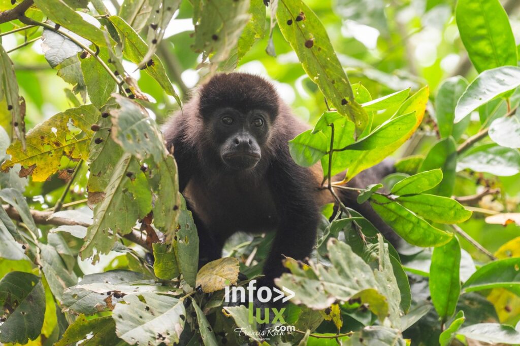 Nivelles > Francis Roth > Photographe