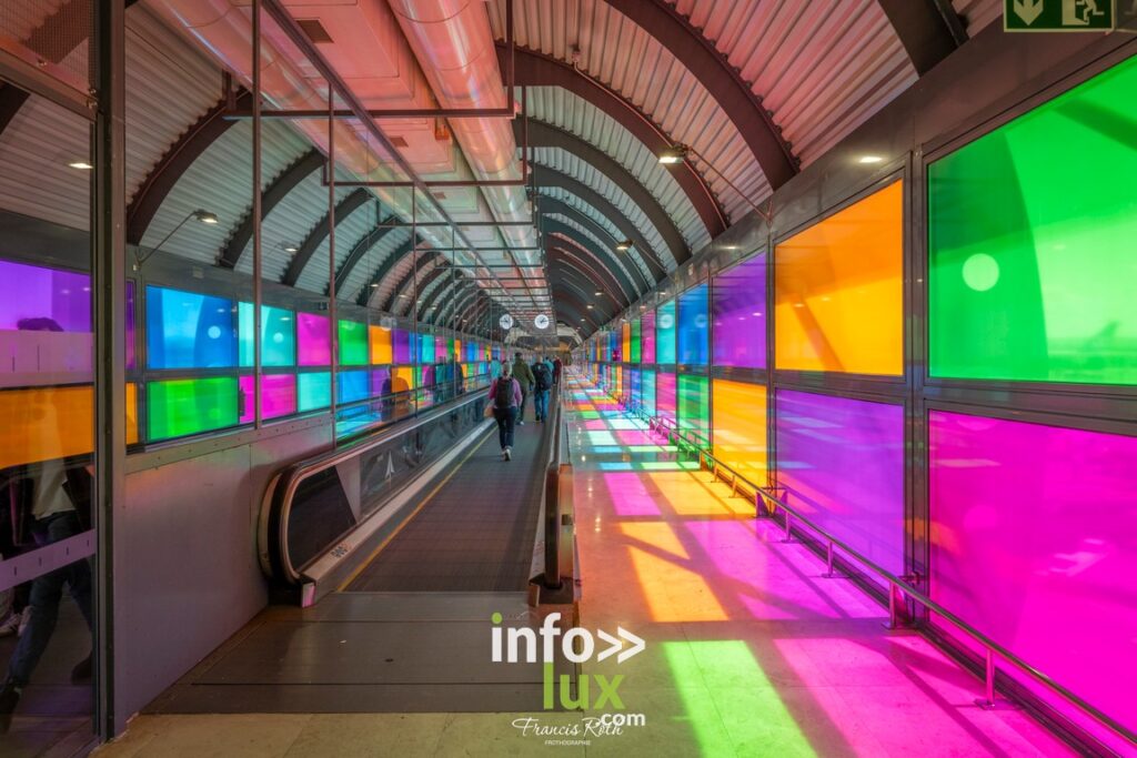 Nivelles > Francis Roth > Photographe