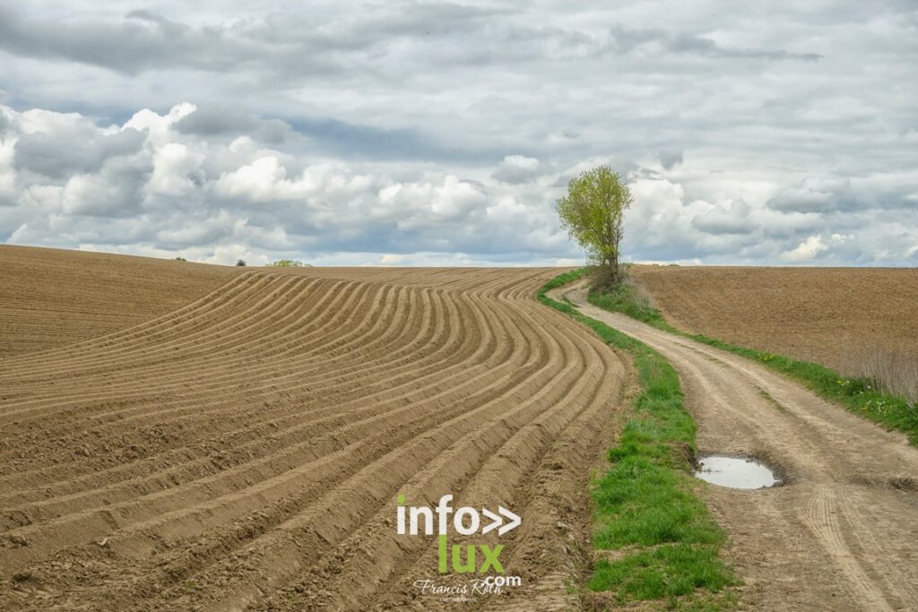 Nivelles > Francis Roth > Photographe