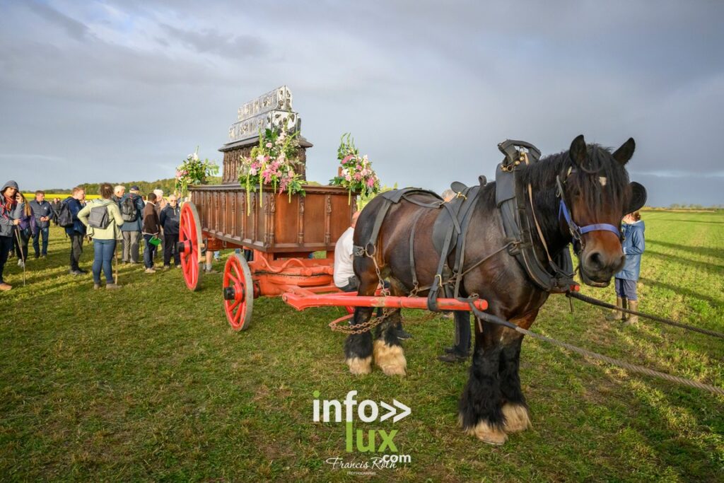 Nivelles > Francis Roth > Photographe